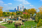 Indy Zoo